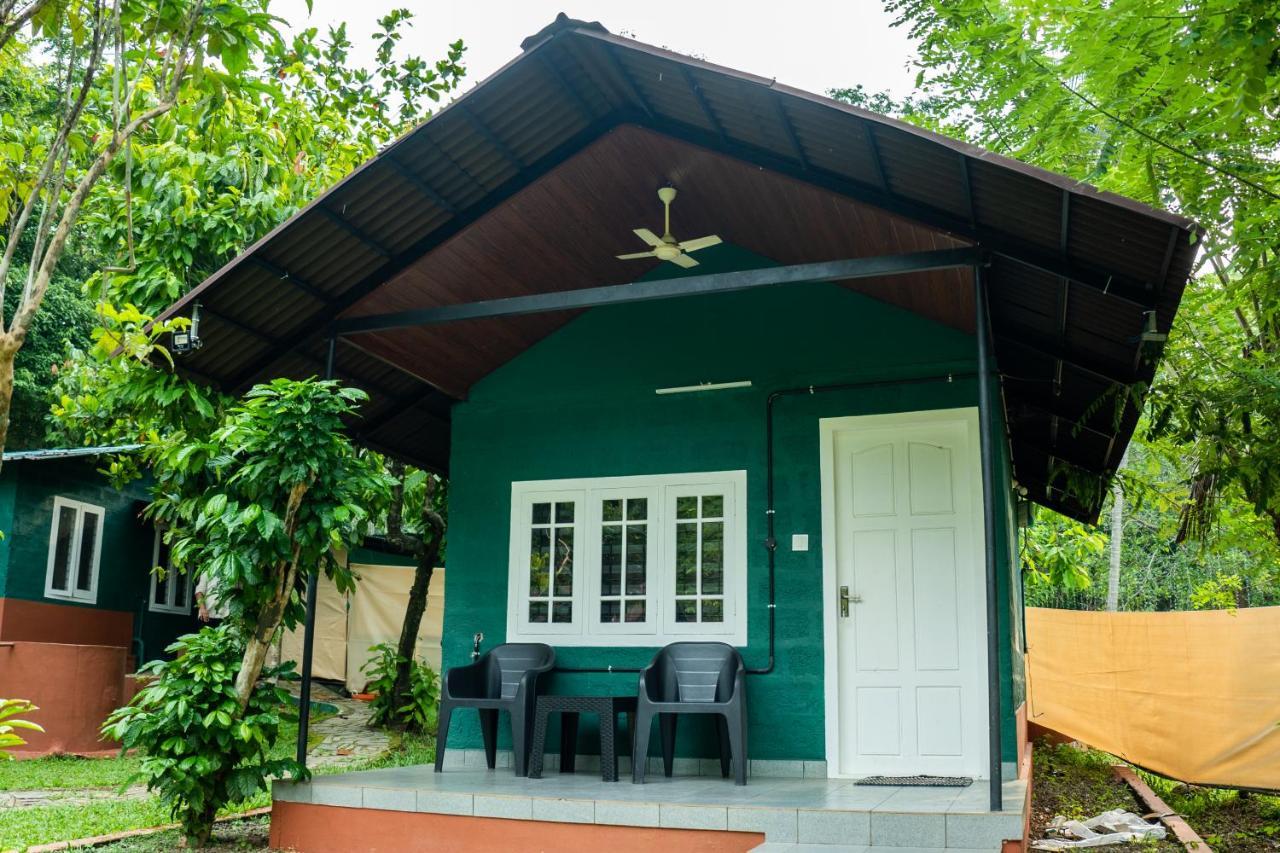 The Nest Thattekad Thattakād Екстериор снимка